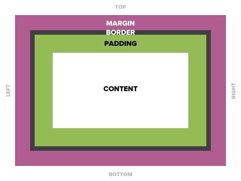 Graphic illustrating box model, padding highlighted