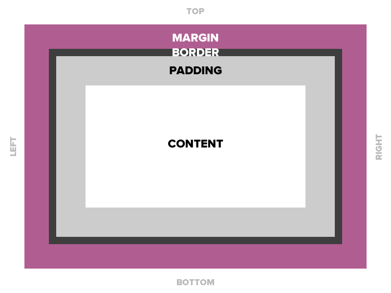 Graphic illustrating box model